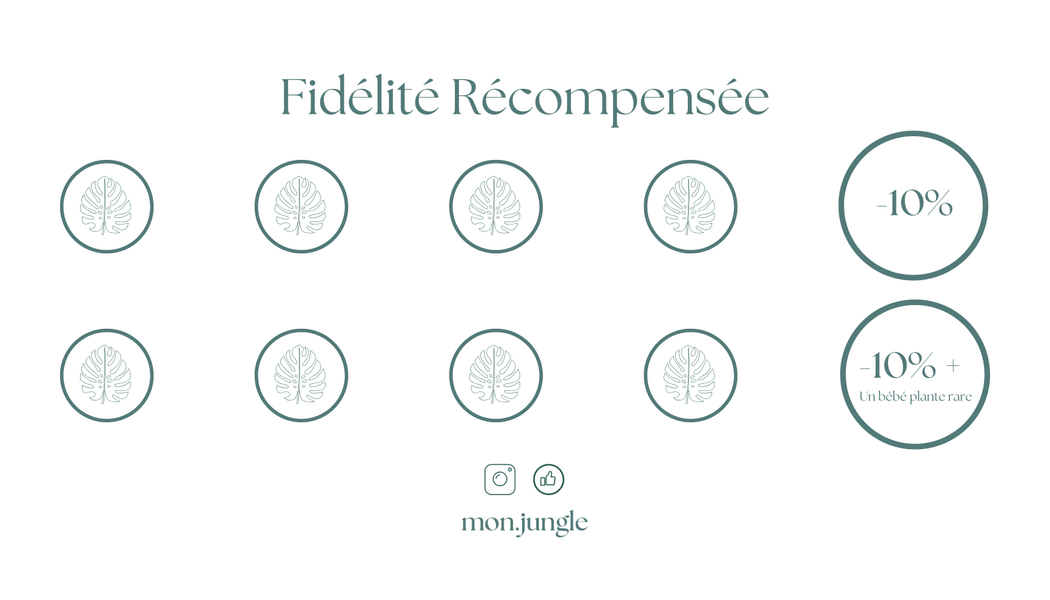 Carte de visite Verso